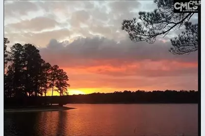 Edisto Lake Road Lot B, Wagener, SC 29164 - Photo 6