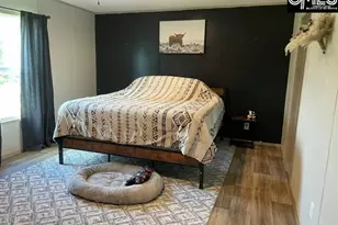 246 Azalea St, North, SC 29112 - Photo 6