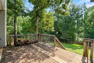 115 Black Creek Ln, Irmo, SC 29063 - Photo 30