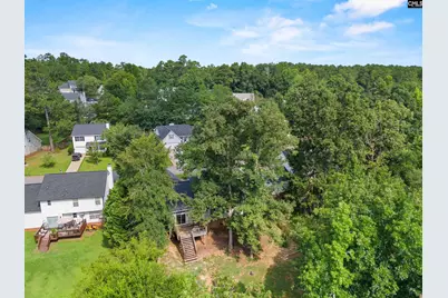 115 Black Creek Lane, Irmo, SC 29063 - Photo 40