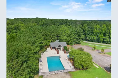 115 Black Creek Lane, Irmo, SC 29063 - Photo 34