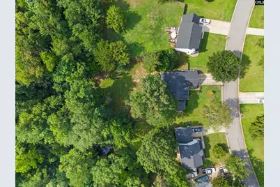 115 Black Creek Lane, Irmo, SC 29063 - Photo 42