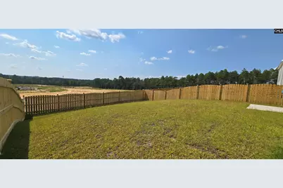 2314 Damascus Way, Lexington, SC 29073 - Photo 28