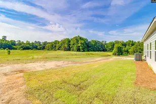 539 Cromer Rd, Lexington, SC 29072 - Photo 36