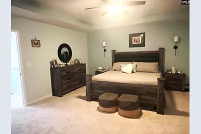143 Marissa Lane, Lexington, SC 29072 - Photo 22