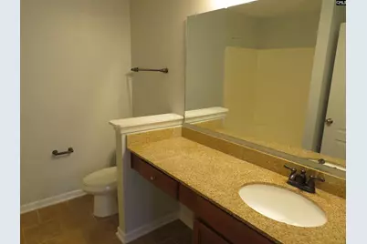 208 Dawsons Park Drive, Lexington, SC 29072 - Photo 10