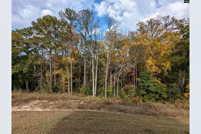 1033 Colony Creek Court, Lexington, SC 29073 - Photo 24