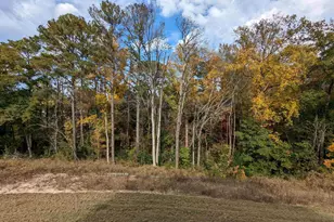 1033 Colony Creek Ct, Lexington, SC 29073 - Photo 24