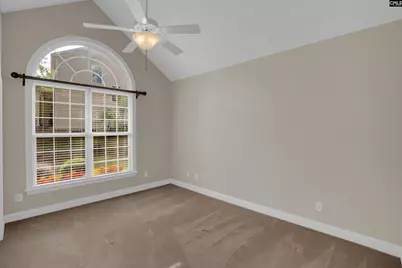 192 Palm Street, Chapin, SC 29036 - Photo 26