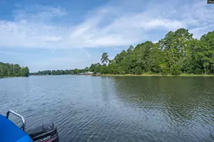 192 Palm St, Chapin, SC 29036 - Photo 46