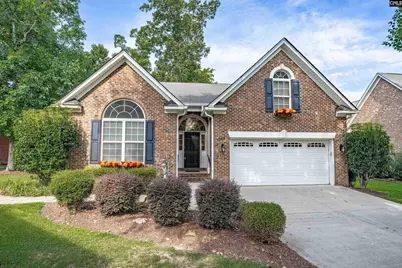 192 Palm Street, Chapin, SC 29036 - Photo 4