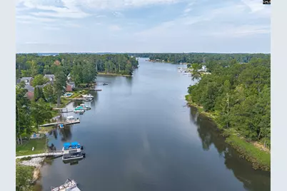 192 Palm Street, Chapin, SC 29036 - Photo 50