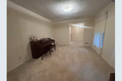 419 Zanark Drive, Columbia, SC 29212 - Photo 10