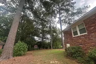 419 Zanark Dr, Columbia, SC 29212 - Photo 20
