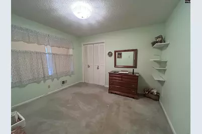 419 Zanark Drive, Columbia, SC 29212 - Photo 12