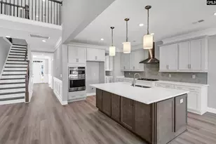 262 Lemon Tree Crossing, Elgin, SC 29045 - Photo 4