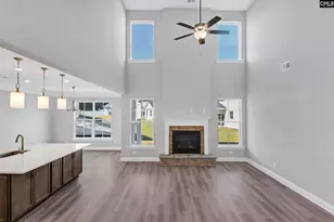 262 Lemon Tree Crossing, Elgin, SC 29045 - Photo 6
