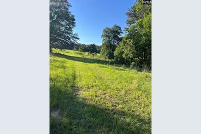 1341 Track Road A, Pelion, SC 29123 - Photo 14