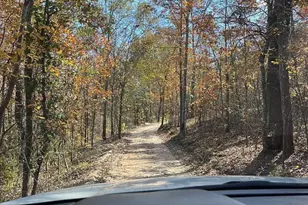 1341 Track Road A, Pelion, SC 29123 - Photo 2
