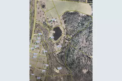 1341 Track Road A, Pelion, SC 29123 - Photo 10