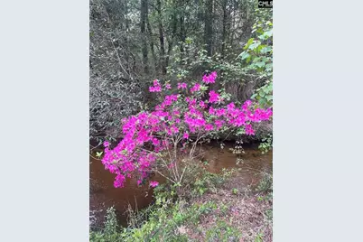1341 Track Road A, Pelion, SC 29123 - Photo 12