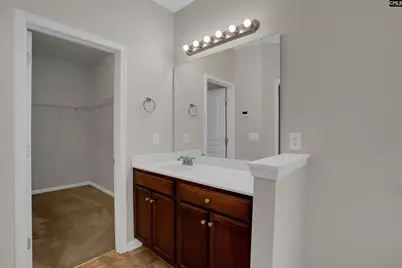 24 Palmetto Wood Court, Irmo, SC 29063 - Photo 18
