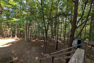 7907 Bruton Rd, Columbia, SC 29203 - Photo 22