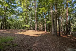 7907 Bruton Rd, Columbia, SC 29203 - Photo 24