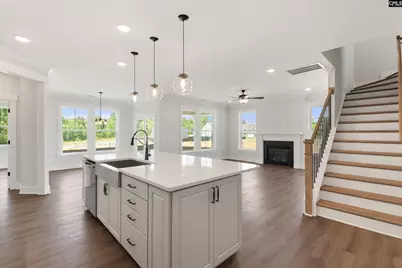 266 Lemon Tree Crossing, Elgin, SC 29045 - Photo 4