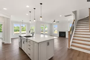 266 Lemon Tree Crossing, Elgin, SC 29045 - Photo 4