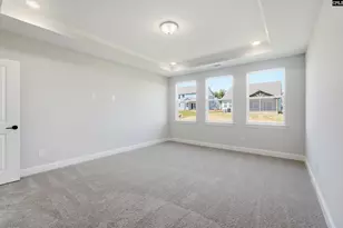 255 Lemon Tree Crossing, Elgin, SC 29045 - Photo 10