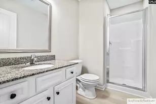 56 Texas Black Way, Elgin, SC 29045 - Photo 14
