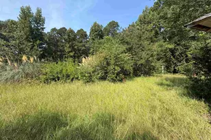 2019 Providence Rd, Cassatt, SC 29032 - Photo 4