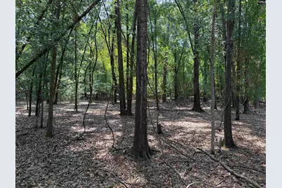 2361 Shedrick Street, Camden, SC 29020 - Photo 2