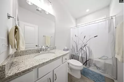 445 Dolomite Court, Chapin, SC 29036 - Photo 8