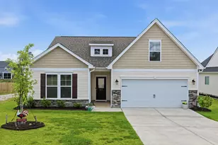 445 Dolomite Ct, Chapin, SC 29036 - Photo 1