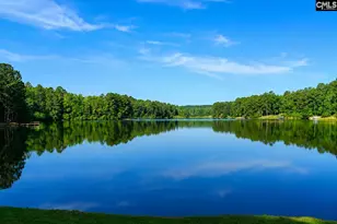115 Divinci Rd, Sandy Run, SC 29160 - Photo 2