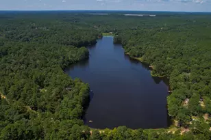 115 Divinci Rd, Sandy Run, SC 29160 - Photo 22