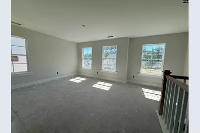 259 Lemon Tree Crossing, Elgin, SC 29045 - Photo 8