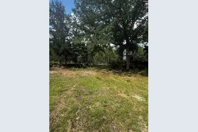 116 Rob Teal Road, Patrick, SC 29584 - Photo 4