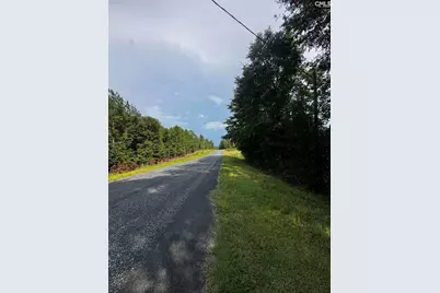 116 Rob Teal Road, Patrick, SC 29584 - Photo 6
