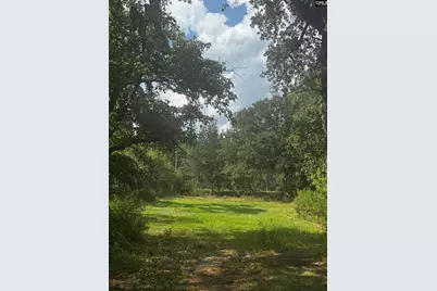 116 Rob Teal Road, Patrick, SC 29584 - Photo 1