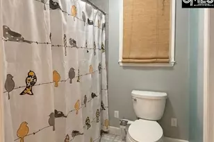 248 Heritage Trail, Lexington, SC 29072 - Photo 6