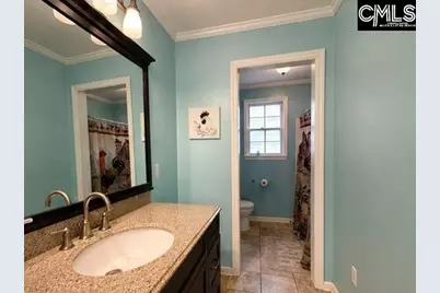 248 Heritage Trail, Lexington, SC 29072 - Photo 8