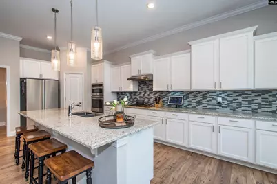 207 Jake Meetze Road, Chapin, SC 29036 - Photo 24