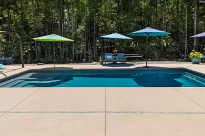 207 Jake Meetze Road, Chapin, SC 29036 - Photo 46