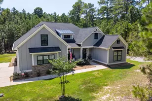 207 Jake Meetze Rd, Chapin, SC 29036 - Photo 52