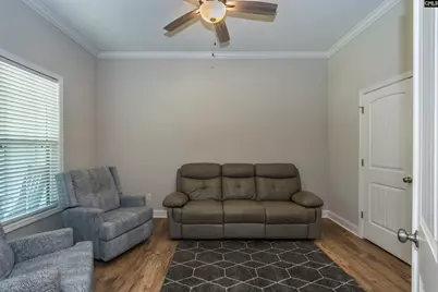 207 Jake Meetze Road, Chapin, SC 29036 - Photo 36