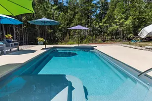 207 Jake Meetze Rd, Chapin, SC 29036 - Photo 44