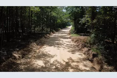 196 Brandy Road, Wagener, SC 29164 - Photo 6